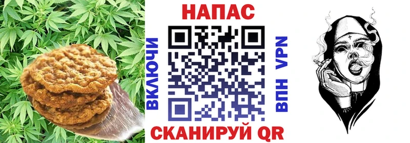 кракен как зайти  где купить наркоту  Нижние Серги  Cannafood конопля 