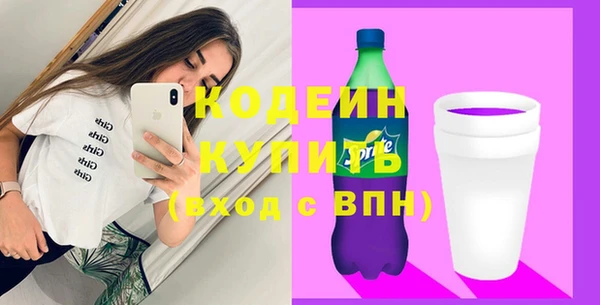 сатива Новодвинск