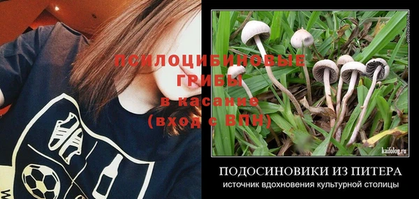 гидропоника Новокубанск